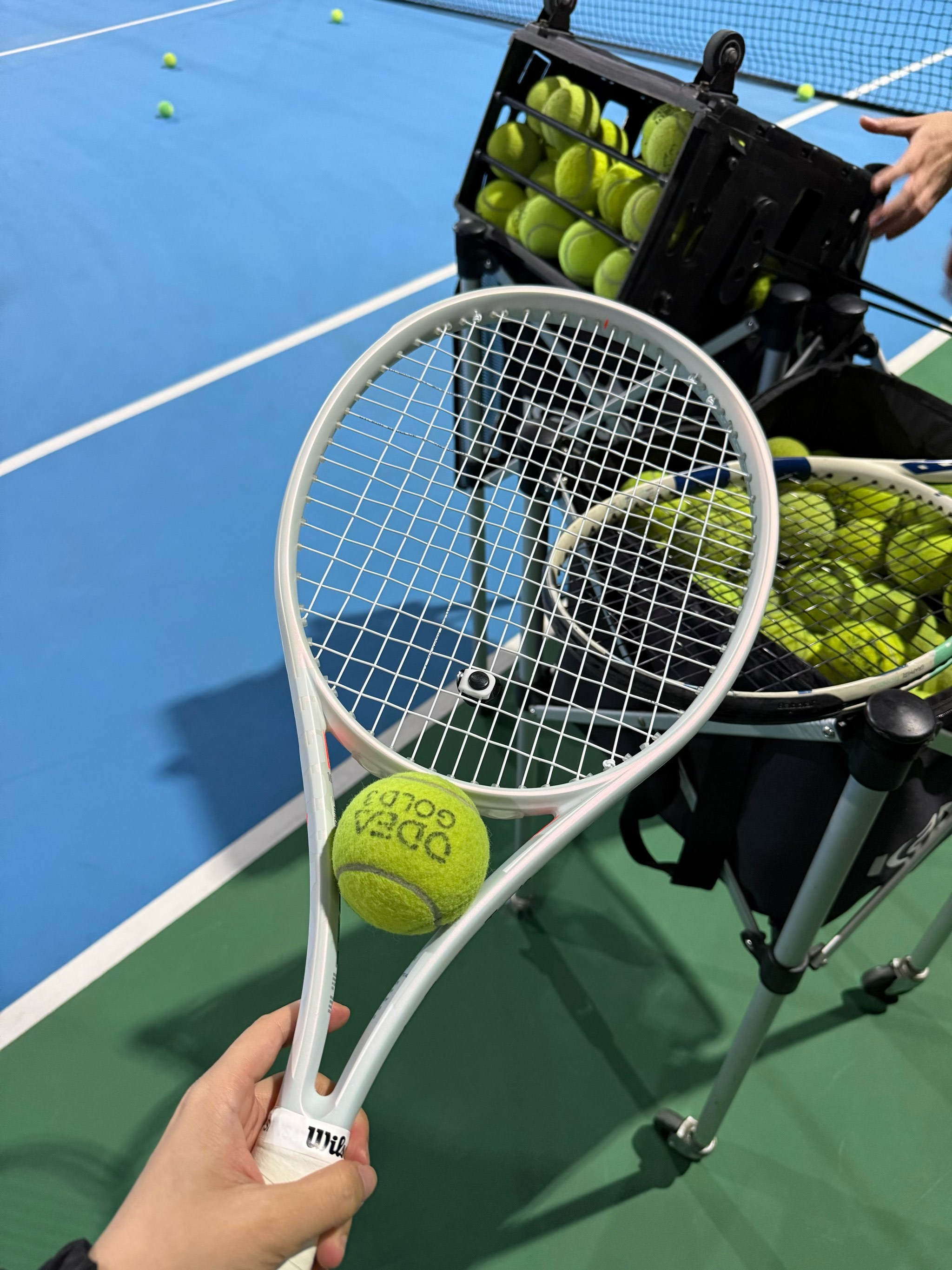 尽管印尼队 尽管印尼队